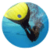 Rules to play Finswimming