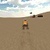 Offroad Desert 3D