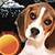 Puppy Weather Clock Widget
