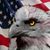 American Eagle Flag