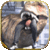 Dinosaur simulator: Dino world