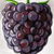 Blackberries Photo Collage