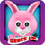 Bunny Dress up - Pet Rabbit Game