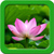 Lotus Live Wallpapers Top