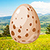 Magical Egg