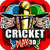 Cricket Play 3D - Live The Game
