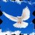 Amazing Gospel Radio