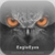 EagleEyes-plus
