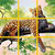 S-Puzzle Az