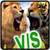 Lion Vs Tiger  Wild Adventure