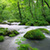 Unique Rivers