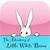 Little White Bunny