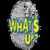 WhatsUp-The Messenger of Happiness