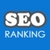 SEO Search Ranking