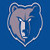Memphis Grizzlies Fan