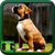 Dog Images Free