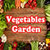 Vegetables Garden