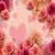 Pink Roses Romantic Live Wallpaper