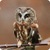 Mysterious Owl Live Wallpaper