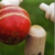 Chauka Cricket Scoring App
