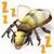 Bee Sound