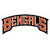 Cincinnati Bengals Fan