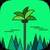 Forests And Jungles