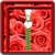 Zipper Lock Screen Rose