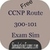 CCNP Route 300-101 Exam Sim-Free
