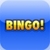 Bingo Classic