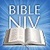 NIV Bible Version
