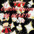 Casino Queen of Hearts