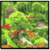 Most Amazing Botanical Gardens