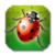 Garden Bug Smasher