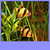 Best Aquarium Live Wallpapers