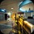 Shoot Hunter 3D; Killer strike 3d enemy