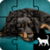 Dog Jigsaw Puzzle FatCatApps