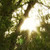 Nature Live Wallpaper 33