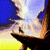 The  Lion King