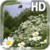 Chamomile Field Live Wallpaper
