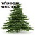 WISDOM QUOTES GUIDES