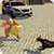 Crime Chasing Police Dog