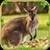 Furious Kangaroo Simulator