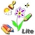 WordSeek HD