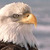 Nature Live Wallpaper 35