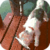 Fisherman Dog Live Wallpaper