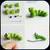 Modeling Idea Step by Step