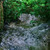 Nature Live Wallpaper 50