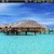 Beach House