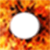 Fire frame